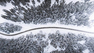 Bird eye’s view!, by Kimon Maritz